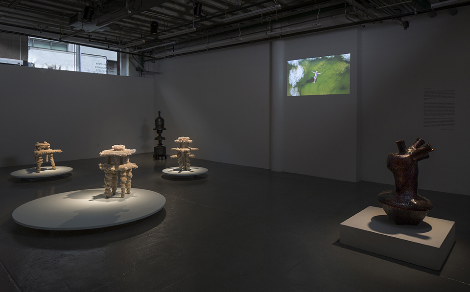 2018 exhibition nevi pana install 1