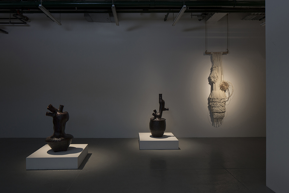 2018 exhibition nevi pana install 3