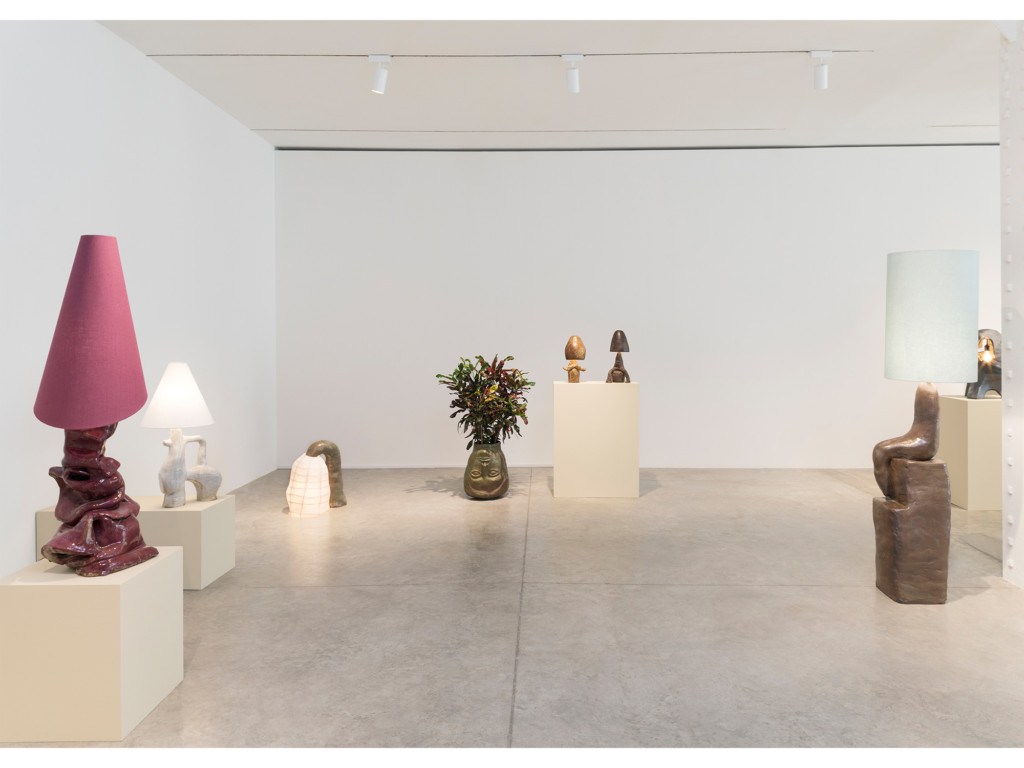 2021 exhibition dapollonio install_1